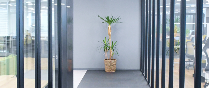 データで見るセレブリックス